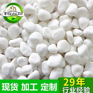 汉白玉鹅卵石白石子雪花白机磨石子白色雨花石米多肉石仔小白石米
