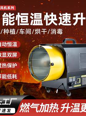 工业燃气暖风机冬天养殖大面积取暖炉设备液化气煤气热风机取暖器