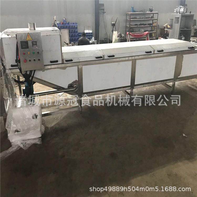 机械果蔬漂烫机 全自动网带式肉类玉米蒸煮机 果蔬豆角杀青机