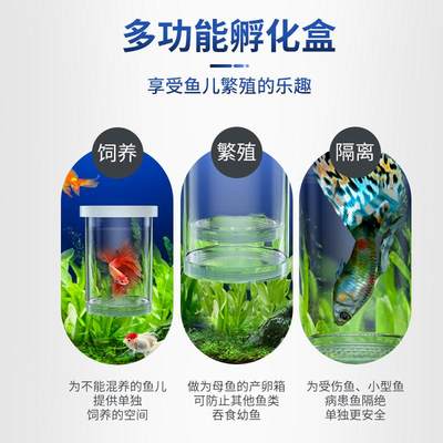 孵化器疯狂水草孔雀繁殖孵化器