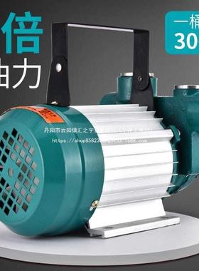 灼濛大功率抽油泵油122V2V20V伏油泵柴油抽油机抽器加油机加4NSF