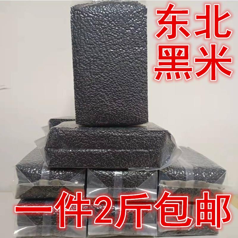 黑米新米1000g黑香米黑龙江农家自产黑米五常黑大米五谷杂粮