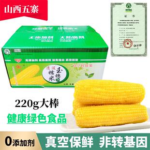新日期恬乡山西忻州新玉米五寨黄糯甜玉米真空装健康早餐加热即食