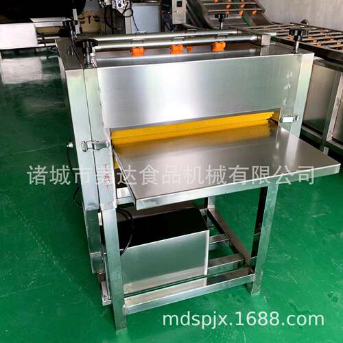 粽叶清洗机厂家供应毛刷式芭蕉叶清洗设备粽子加工设备