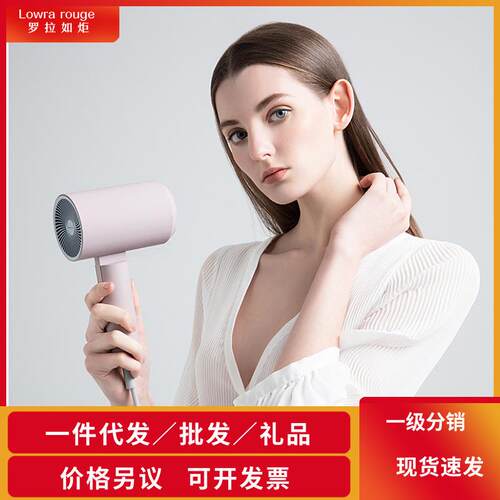 Lowra rouge罗拉CL202吹风机家用网红款负离子电吹风筒不伤发