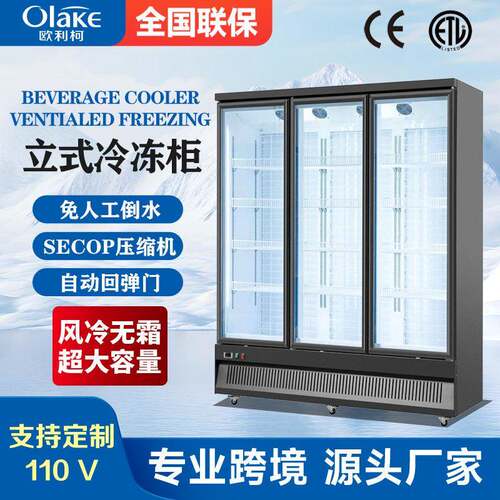 立式双门冷冻柜展示柜冰柜商用低温盒马生鲜风冷无霜保鲜柜冷藏柜