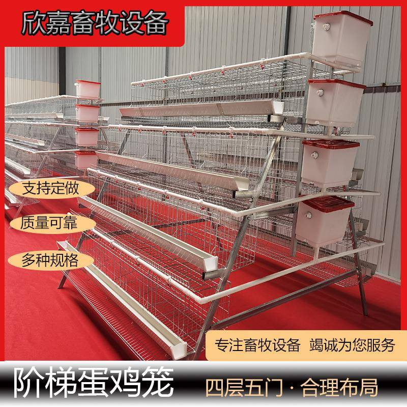 鸡笼A型四层五门热镀锌阶梯蛋白槽绿槽家用禽类蛋鸡笼大型养殖设