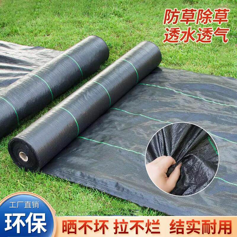 盖草布除草地布防草布除草布果树透气地膜农用地黑耐用抗老化果园