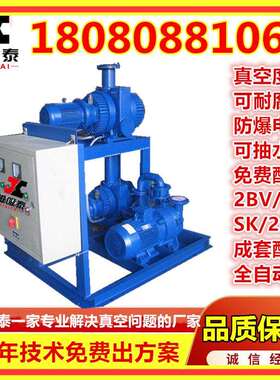 JZJS罗茨水环真空机组实验室真空灭菌水环罗茨真空机组双级罗茨泵