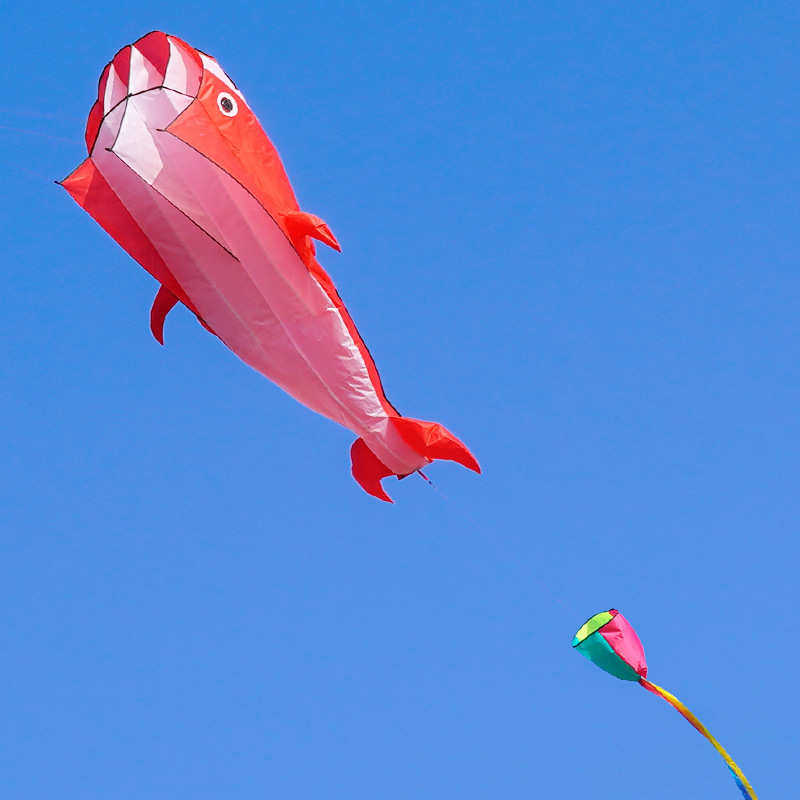 新款3D立体软体海豚风筝微风易飞儿童成人新手初学者易学,运动/瑜伽/健身/球迷用品,风筝,淘宝优惠券,粉丝福利购,淘宝优惠卷