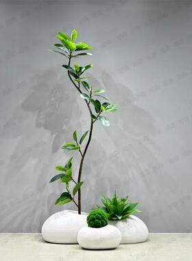 恐龙蛋花器简约白色石头高档花盆客厅仿真绿橡皮黑金刚榕别墅造景