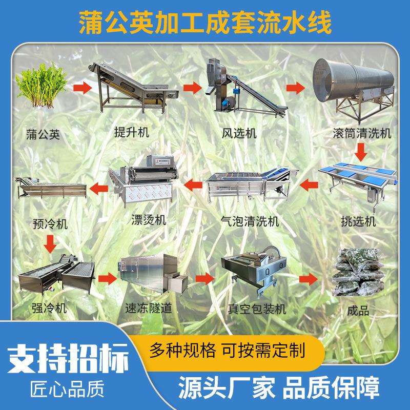 桑叶菜气泡清洗机 贡菜紫苏叶喷淋清洗设备 山菜漂烫成套流水线