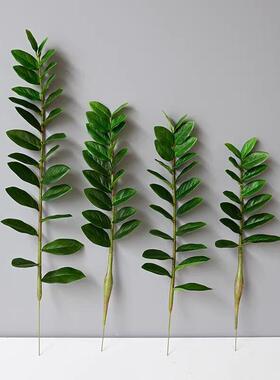 金钱叶小树盆栽支叶热带绿色假树金钱树绿植仿真家居装扮植物