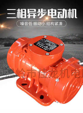 MV800/15 三相振动源电机  振动力可调 防水防尘 380/220V 振动筛