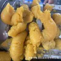 螺旋果蔬制泥机绿豆沙成泥机不锈钢螺旋红豆沙泥打浆机厂家
