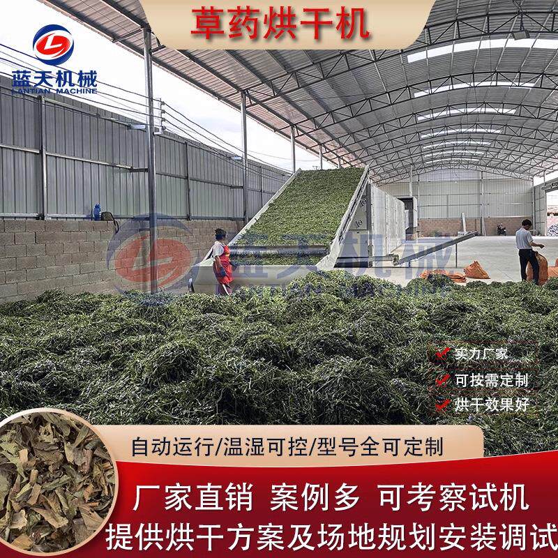 中草药烘干机飞机草香泽兰民国草全自动烘干机网带式药草风干机
