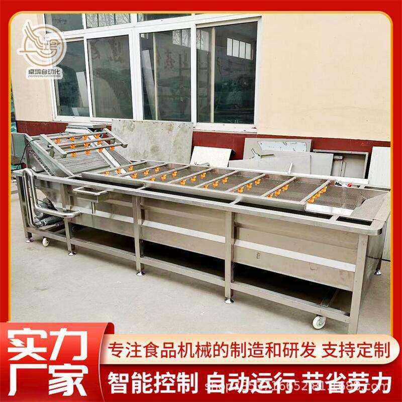 多功能酱菜清洗脱盐机连续式杏鲍菇清洗设备商用香菇气泡清洗机