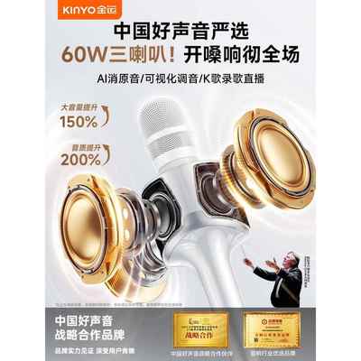 H100话筒音响一体麦克风直播K歌无线声卡唱歌户外家用家庭ktv神器