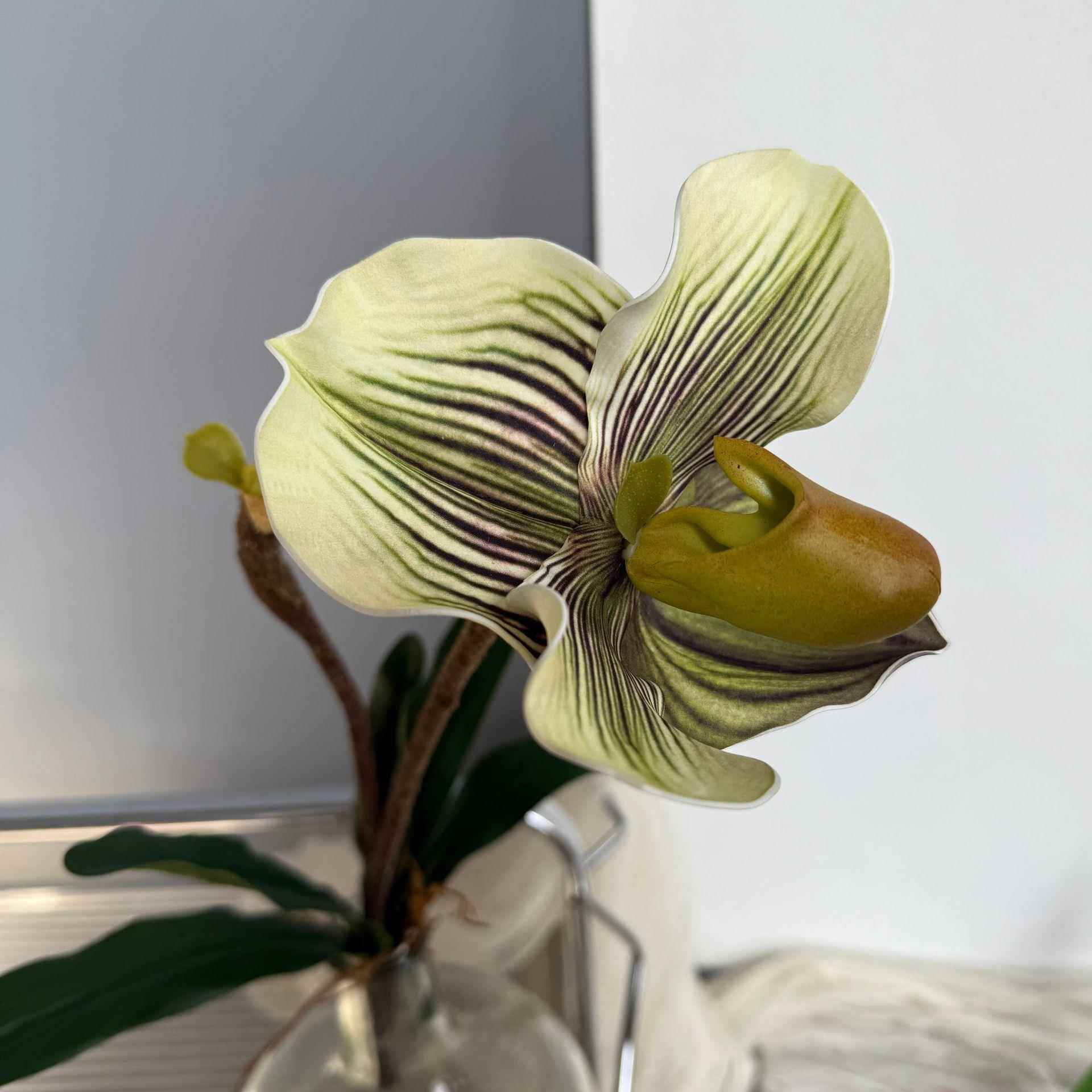 3D手感兜兰仿真花假花玉女兜兰客厅家居装饰仿真花束2头带叶兜兰