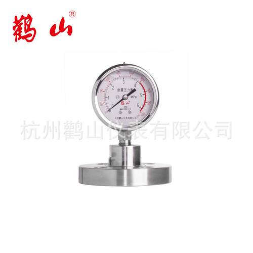 YN63BF-MF 不锈钢隔膜压力表 法兰连接 不锈钢304