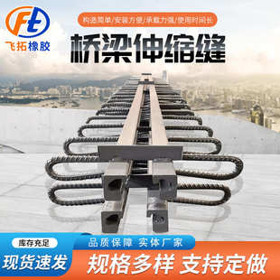 公路桥梁伸缩缝定制C型F型E型变形缝装 置 置公路地面钢异型伸缩装