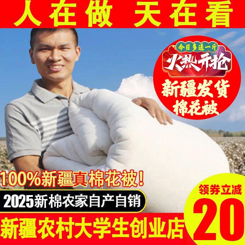 新疆直发棉花被 单人宿舍冬加厚保暖冬季纯棉冬被被子棉芯棉被芯