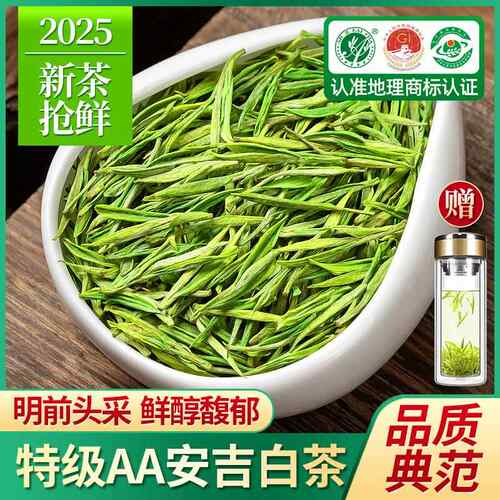 2025年新茶安吉白茶明前特级嫩芽绿茶正宗白茶散装茶叶礼盒装500g