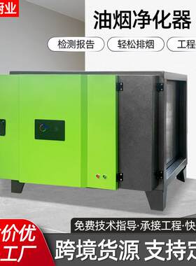 油烟净化器 烧烤酒店工业餐饮空气除烟臭味净化器 低空油烟净化器