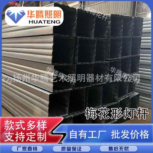 厂家异形高杆路灯杆方管凸纹异形路灯杆庭院异形路灯杆