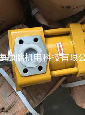 内啮合齿轮泵 NT3-G25F 铸铁高压油泵 NT PUMP