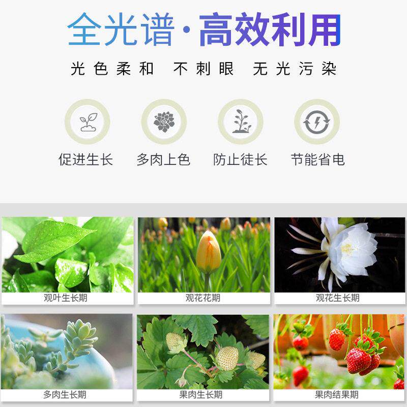 LED植物生长灯 防雨广照植物生长灯 蓝莓樱桃育苗灯 种植灯