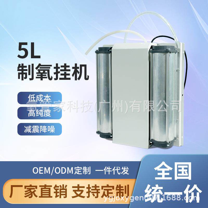 通用产品5L制氧机机芯制氧机纯氧机模块氧气源设备PSA增氧