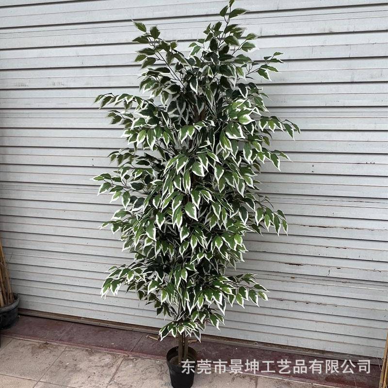 仿真白边榕树真木杆榕树仿真小榕树盆景工厂直销仿真绿植盆栽道具