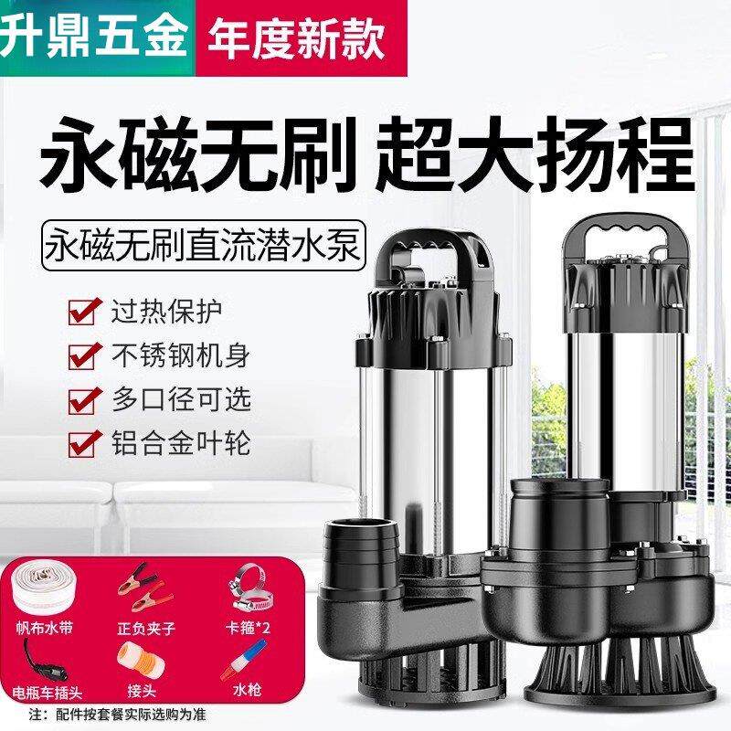 威乐直流潜水泵12V24V48V60V电动车电动车水泵小型农用灌溉浇菜抽