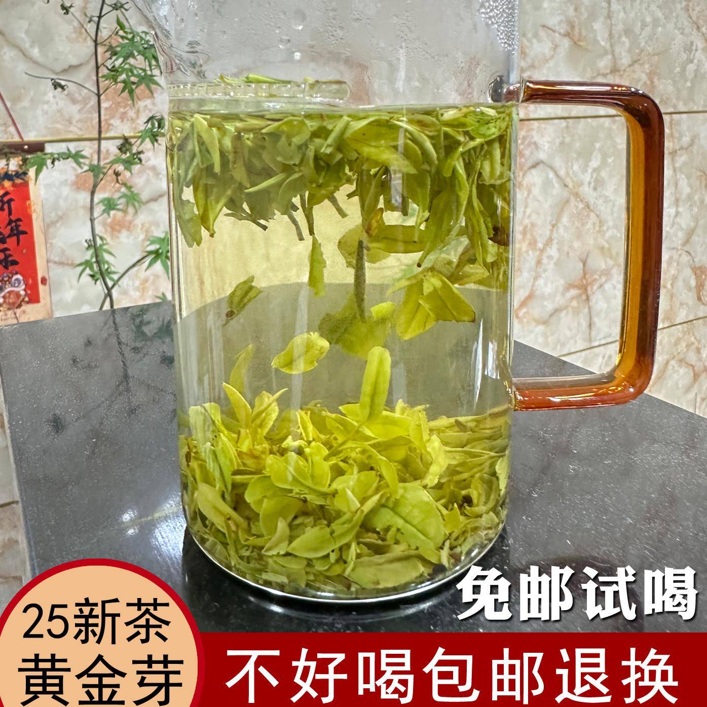 2026新茶浙片山白茶 黄金芽茶叶碎茶 散装茶片碎片茶一级春茶绿茶
