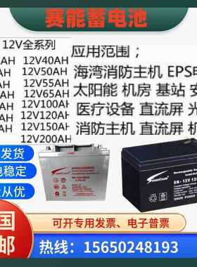 赛能蓄电池SN-12V65CH/12V7AH12AH17AH24AH38AH40AH55AH65AH100AH