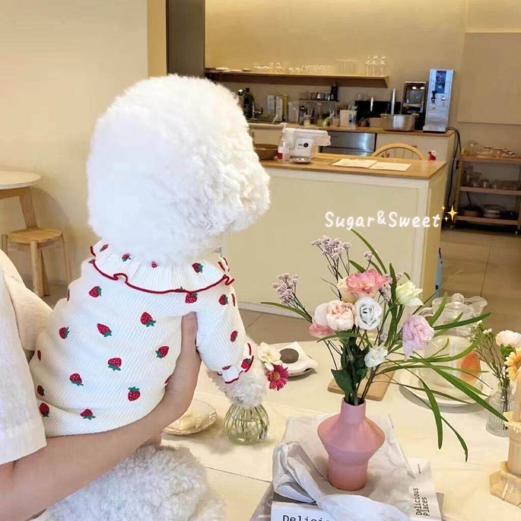 宠物草莓背心泰迪比熊贵宾小型犬狗狗衣服幼猫猫咪春秋新款服装