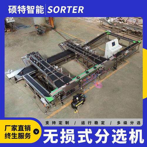 鸡心果重量选果机南果梨称重分选机人参果无损克重分级分果机