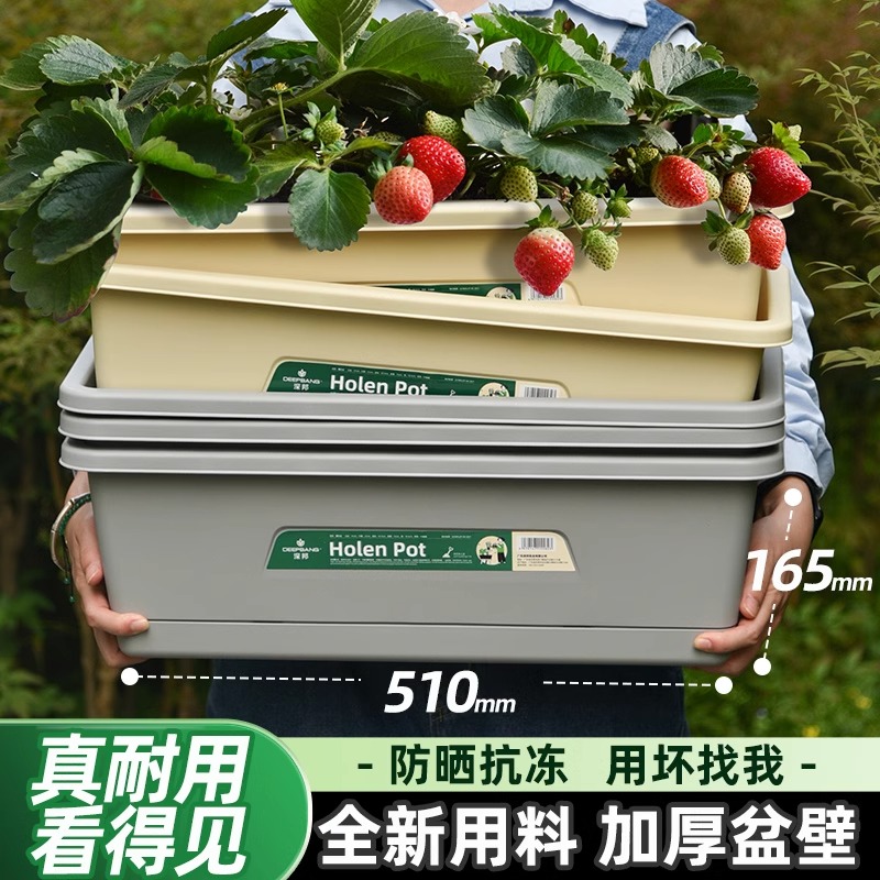 深邦 方形花盆特大种菜盆塑料花盆加厚家庭阳台室内蔬菜种植箱