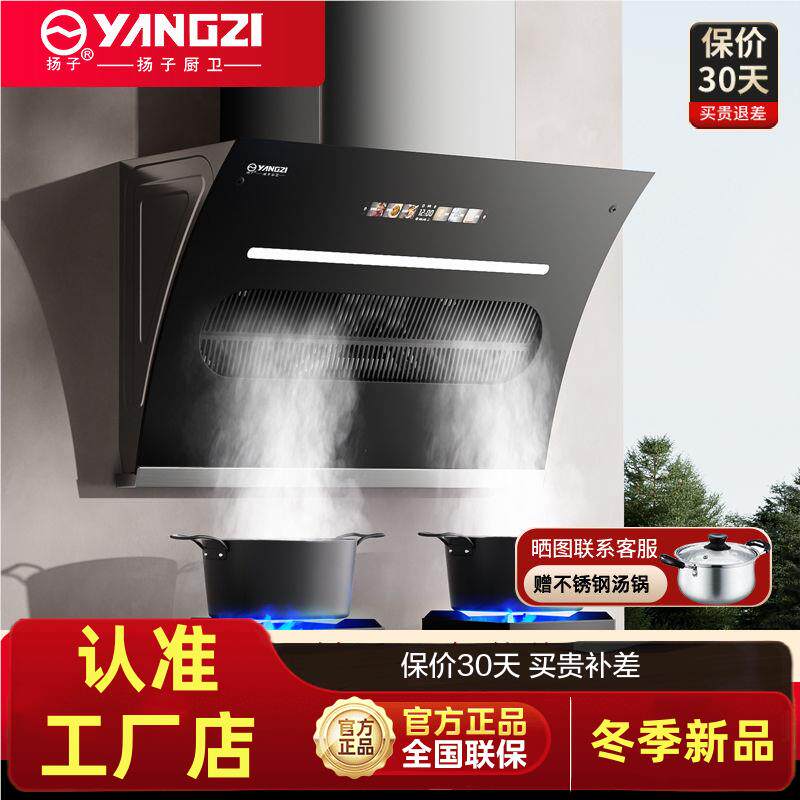 扬子油烟机家用厨房侧吸式大吸力抽油烟机出租房壁挂式脱排吸烟机