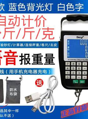 市场称菜计价充电手提电子秤弹簧秤小型手拿可携式高精度迷你小秤