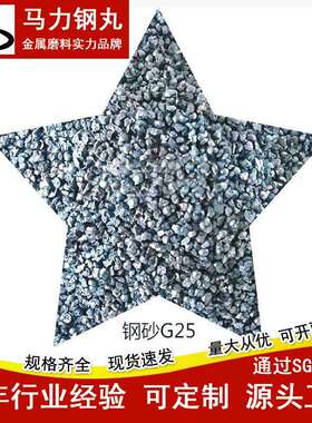 钢丸厂家国标硬度高棱角钢砂G14 抛光铸钢砂抛丸铸件清理喷砂除锈