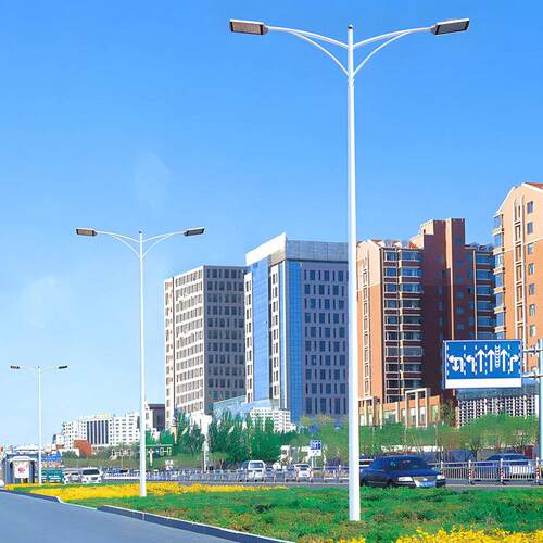 6米8米10米12米双头市电道路灯LED单双臂接电高杆灯高低臂道路灯
