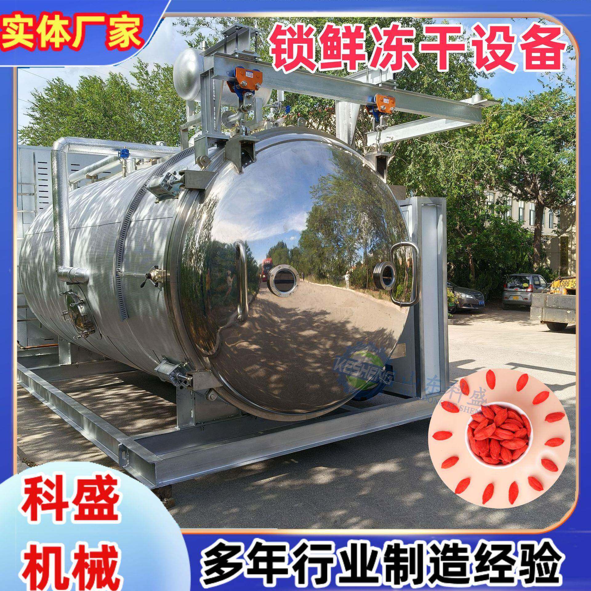 枸杞红枣锁鲜冻干机 柠檬百香果冻干机 果蔬酸奶冻干设备优惠厂家