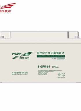 科华蓄电池12V65AH 6-GFM-65铅酸免维护UPSEPS电源直流屏专用系统