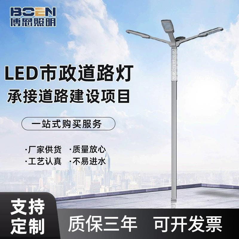 厂家提供LED市电路灯3米6米8米户外灯杆市电道路照明路灯可定制