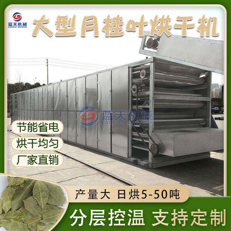 网带月桂叶烘干机全自动白木香叶香料脱水烘干设备天竺桂干燥机