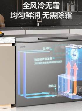 Ronshen/容.声 BD/BC-228WMSY风冷无霜家用小冰柜节能冰柜冰箱