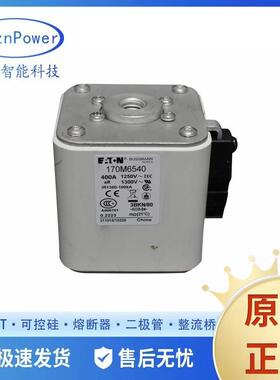 170M6340 170M6540 170M6341t170M6541 直流 多级熔断器/保险丝