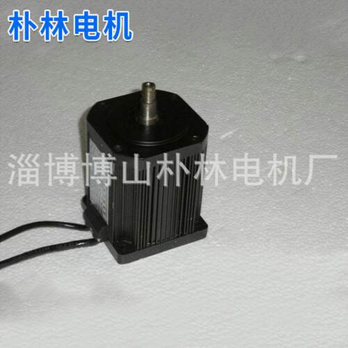 100WS40-300调速直流电机24v直流电机噪音低寿命长